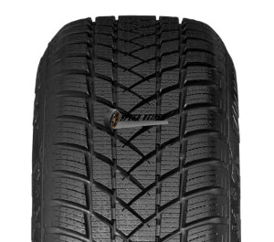 GT RADIAL WINTERPRO 2 205 55 R17 95H Winterreifen 3PMSF M+S