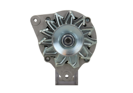 Original Neu Mahle Lichtmaschine passend für Massey  65A MG348 65 A