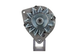 Original Neu Mahle Lichtmaschine passend für Lombardini   MG464 80 A